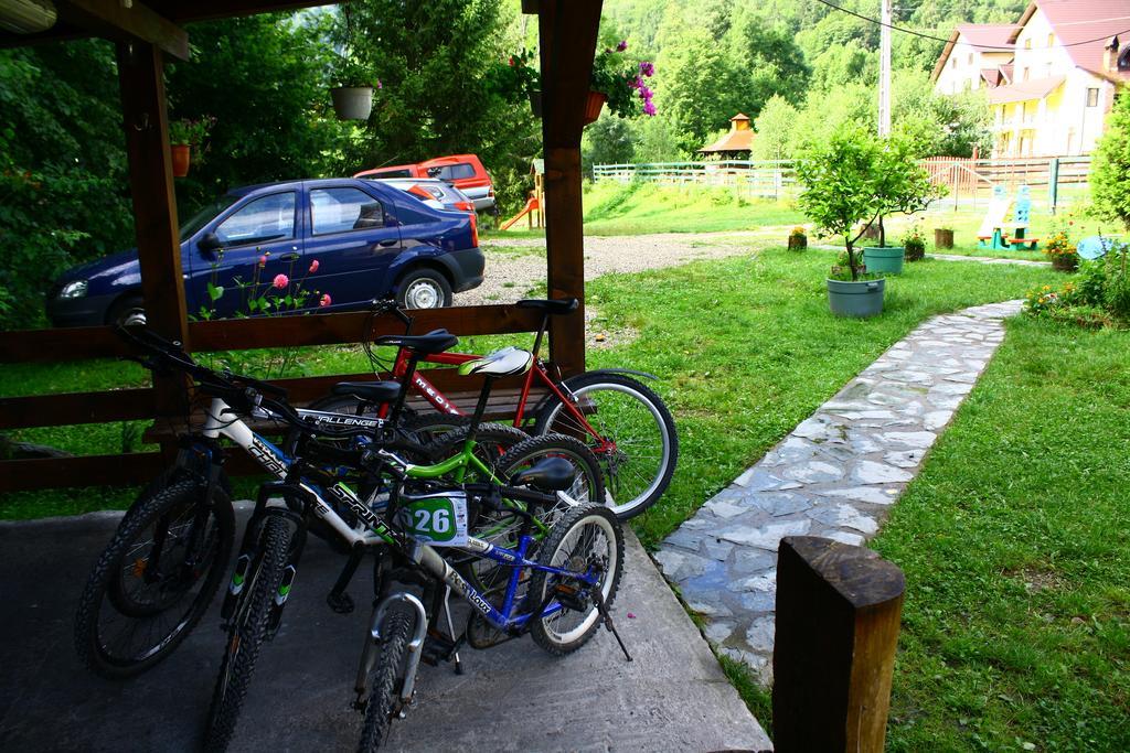 Vila Sucu Hotel Poiana Mărului Buitenkant foto