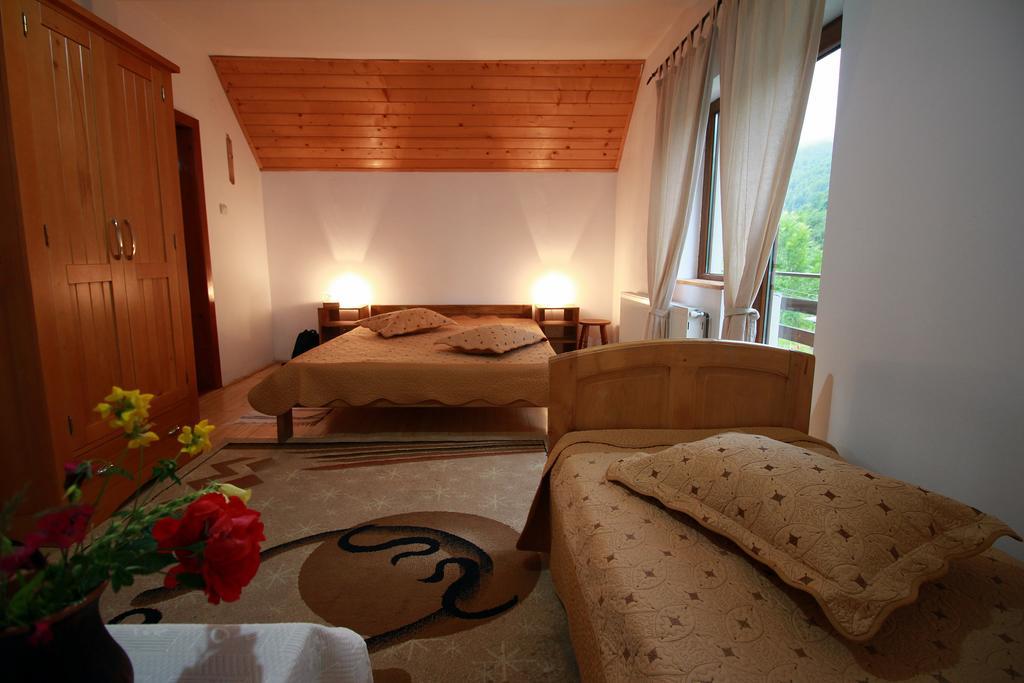 Vila Sucu Hotel Poiana Mărului Kamer foto
