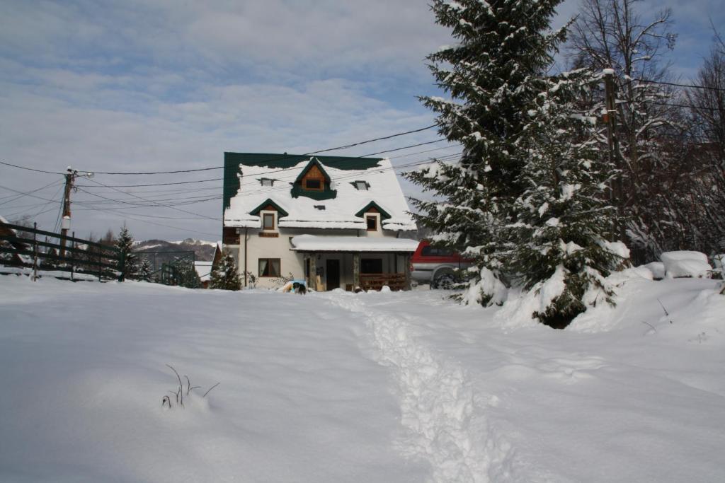 Vila Sucu Hotel Poiana Mărului Buitenkant foto